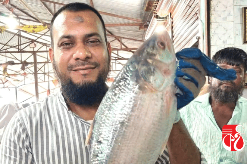 ১০ হাজার ৯০০ টাকায় ১টি ইলিশ